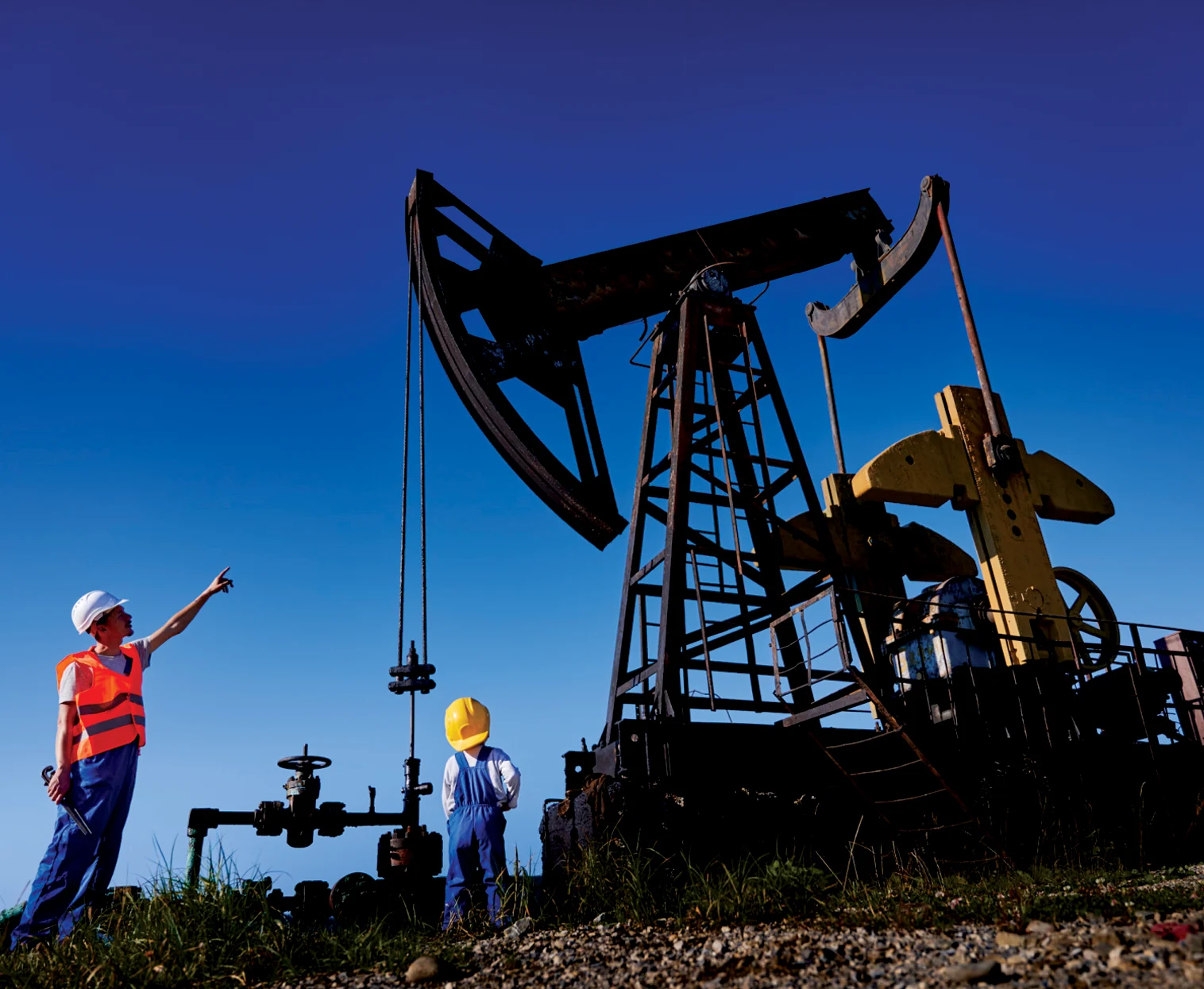 Oil Sector Industry Bearing Application