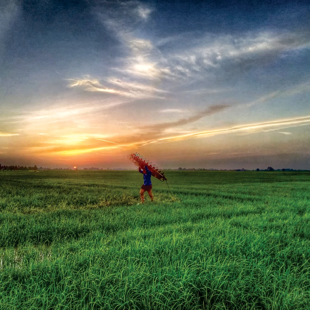 Agricultural  Industry Bearing Application