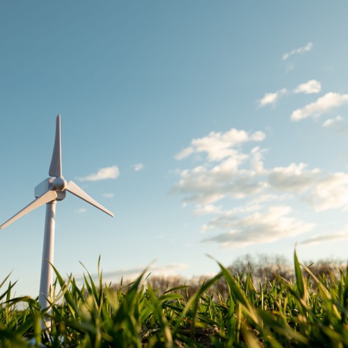 Nachi Spherical Roller Bearings Bearing Product